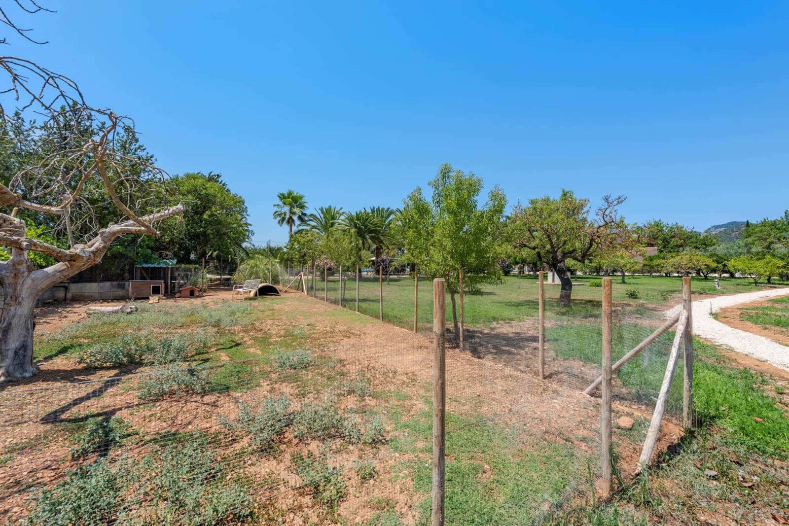 8 soveværelse Finca/Landehus til salg i Binissalem med swimmingpool - € 3.900.000 (Ref: 9215486)