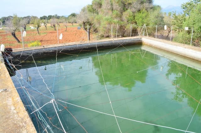 Undeveloped Land for sale in Búger - € 330,000 (Ref: 9215487)