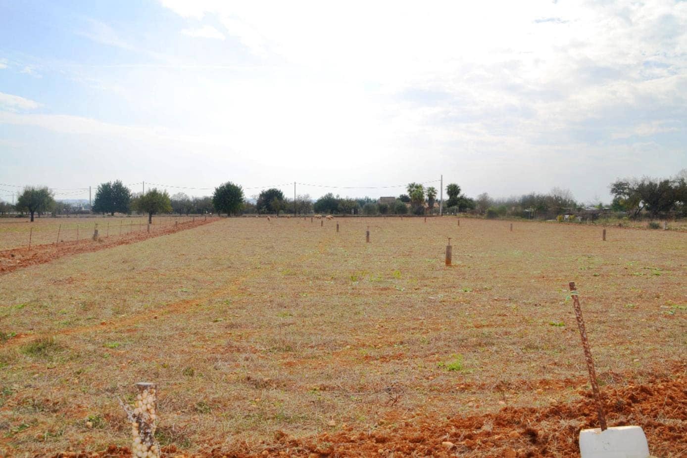 Grond te koop in Buger - € 330.000 (Ref: 9215487)