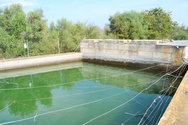 Undeveloped Land for sale in Búger - € 330,000 (Ref: 9215487)