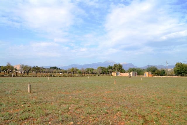 Undeveloped Land for sale in Búger - € 330,000 (Ref: 9215487)