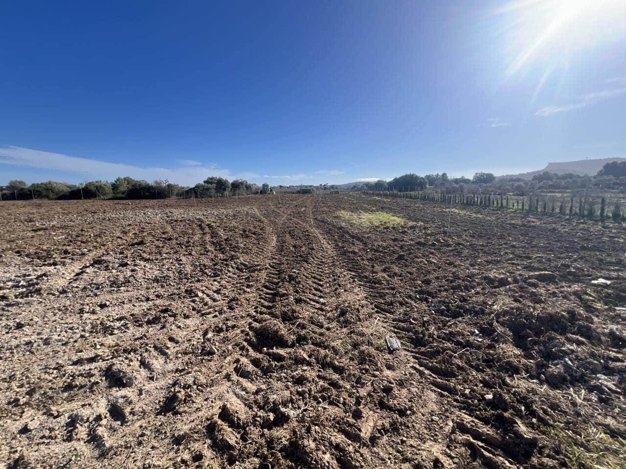 3 bedroom Finca/Country House for sale in Algaida with pool garage - € 380,000 (Ref: 9215489)