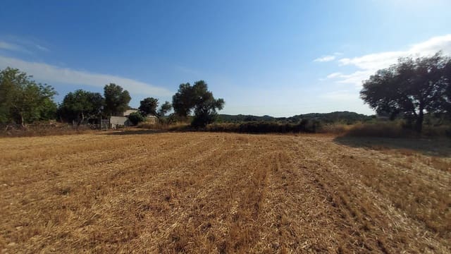 Undeveloped Land for sale in Sineu - € 130,000 (Ref: 9215517)