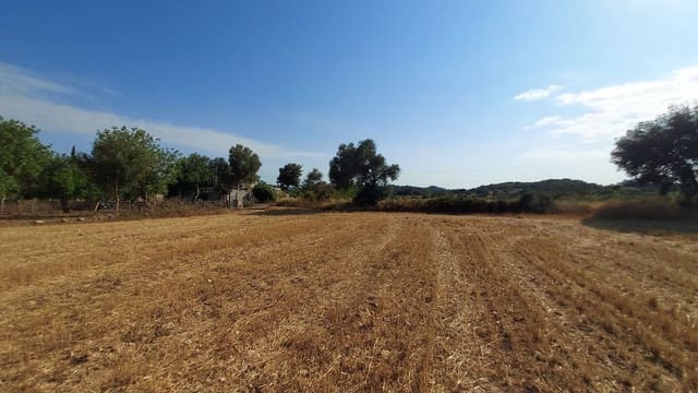 Undeveloped Land for sale in Sineu - € 130,000 (Ref: 9215517)