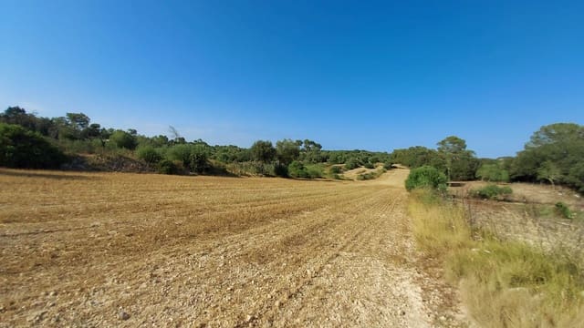 Undeveloped Land for sale in Sineu - € 130,000 (Ref: 9215517)