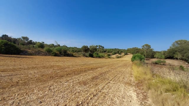 Undeveloped Land for sale in Sineu - € 130,000 (Ref: 9215517)