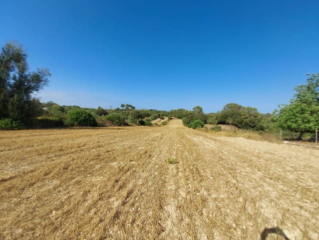 Undeveloped Land for sale in Sineu - € 130,000 (Ref: 9215517)