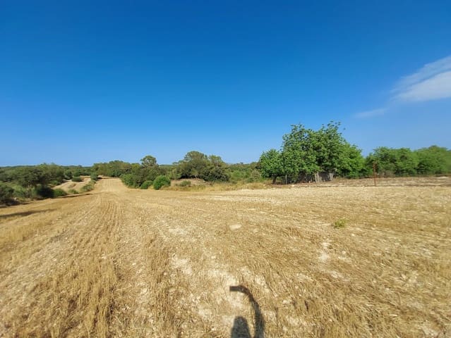 Undeveloped Land for sale in Sineu - € 130,000 (Ref: 9215517)