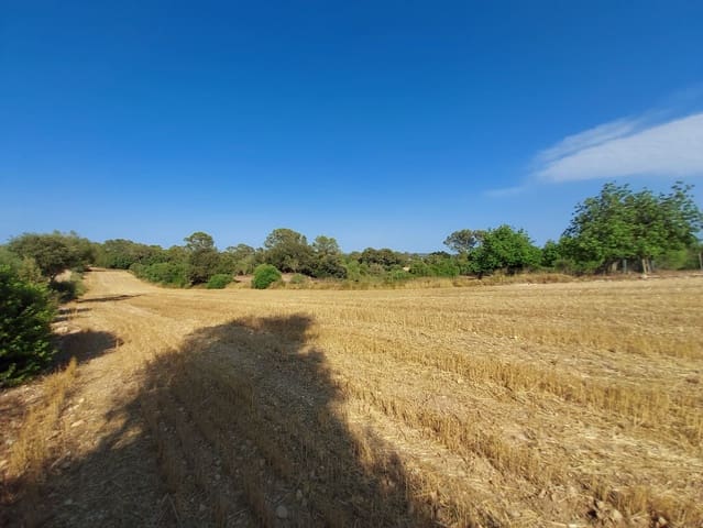Undeveloped Land for sale in Sineu - € 130,000 (Ref: 9215517)