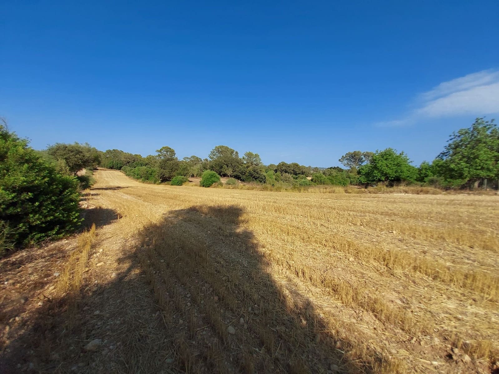 Grunde uden byggetilladelser til salg i Sineu - € 130.000 (Ref: 9215517)