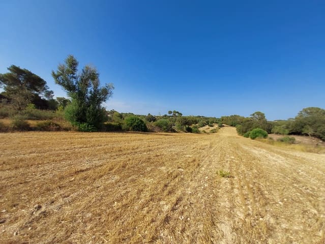 Undeveloped Land for sale in Sineu - € 130,000 (Ref: 9215517)