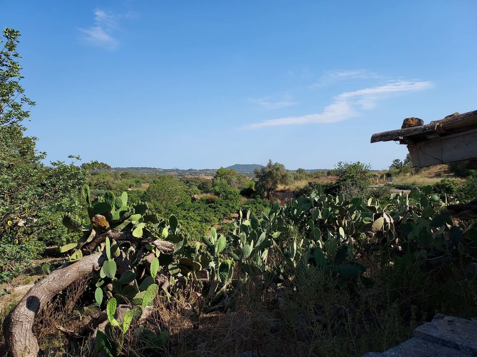 Mark till salu i Maria de la Salud / Maria de la Salut - 240 000 € (Ref: 9215518)