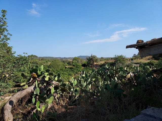 Mark till salu i María de la Salud / María de la Salut - 240 000 € (Ref: 9215518)