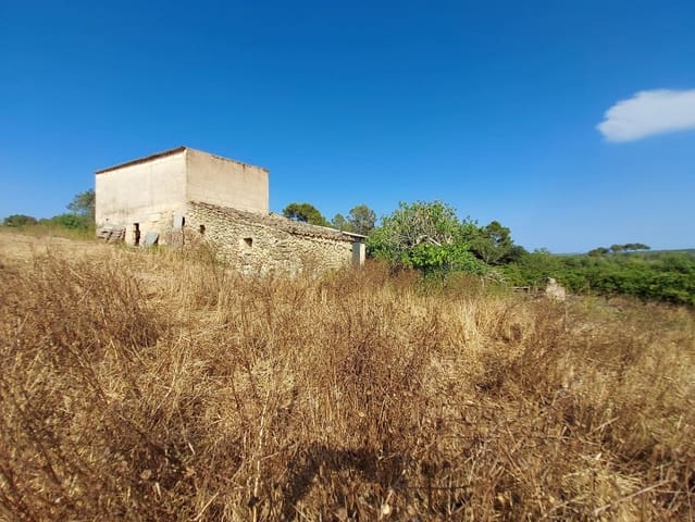 Mark till salu i María de la Salud / María de la Salut - 240 000 € (Ref: 9215518)