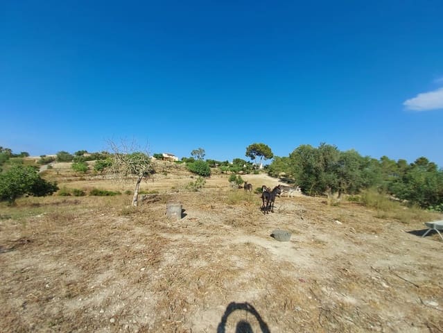 Mark till salu i María de la Salud / María de la Salut - 240 000 € (Ref: 9215518)