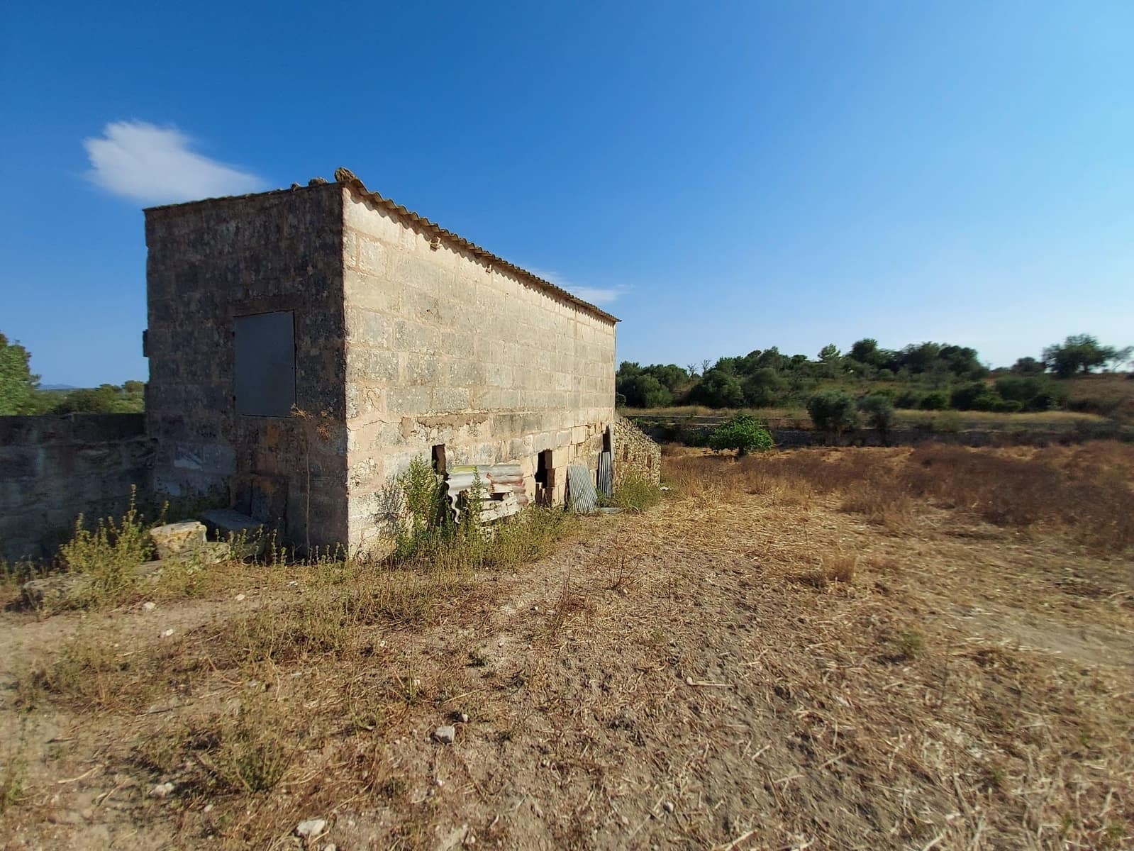 Mark till salu i Maria de la Salud / Maria de la Salut - 240 000 € (Ref: 9215518)