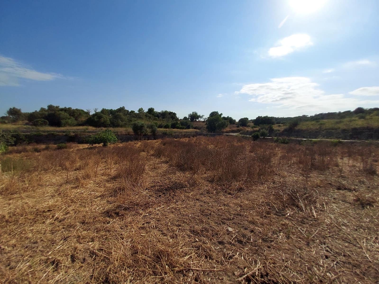 Mark till salu i Maria de la Salud / Maria de la Salut - 240 000 € (Ref: 9215518)