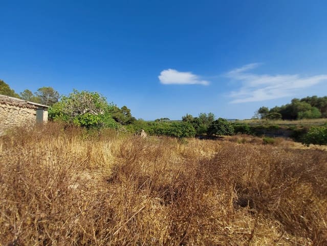 Mark till salu i María de la Salud / María de la Salut - 240 000 € (Ref: 9215518)