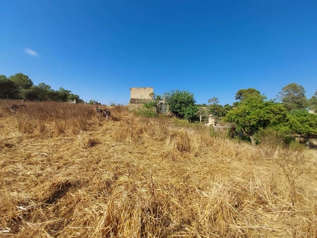 Mark till salu i María de la Salud / María de la Salut - 240 000 € (Ref: 9215518)