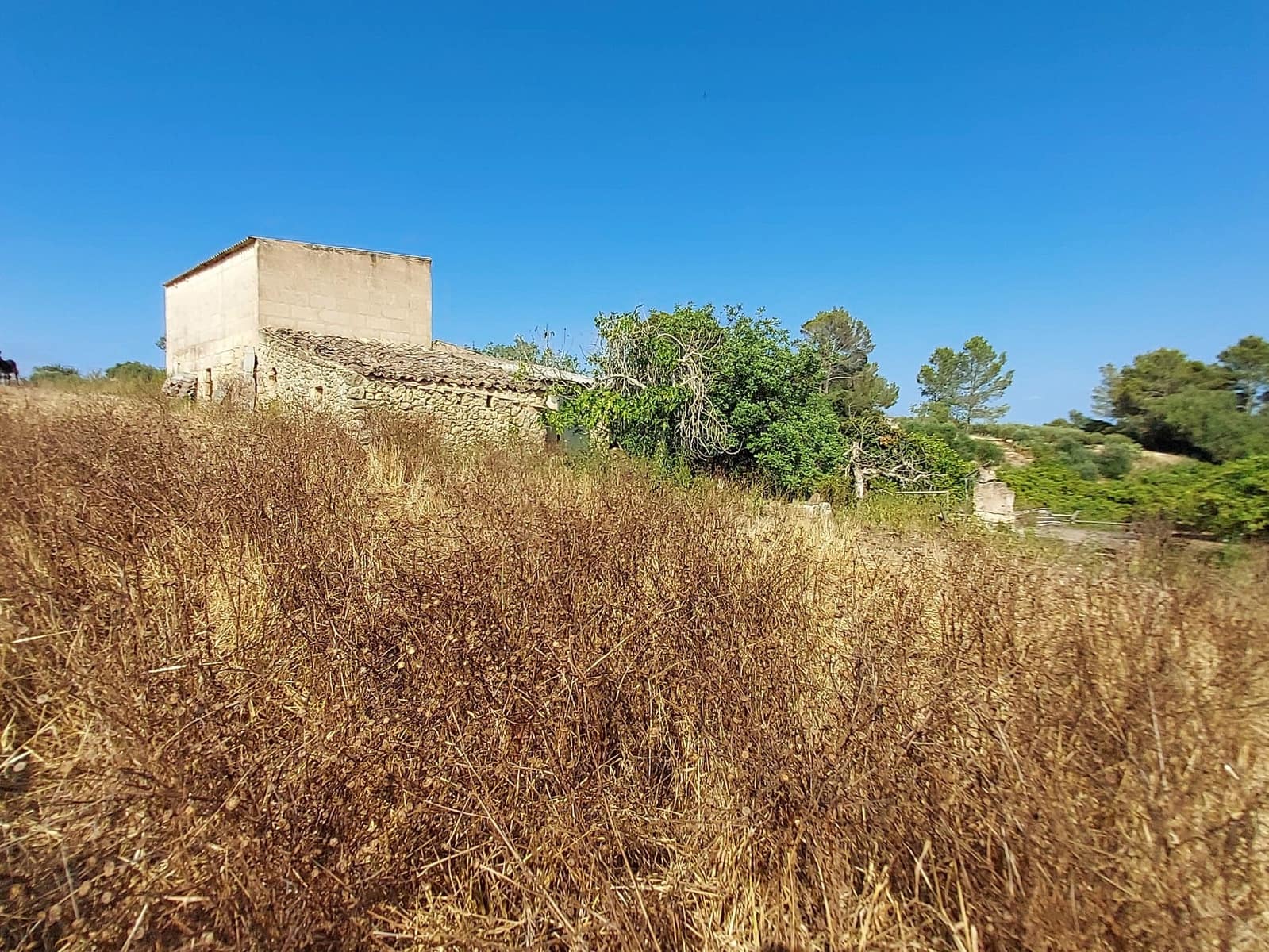 Mark till salu i Maria de la Salud / Maria de la Salut - 240 000 € (Ref: 9215518)