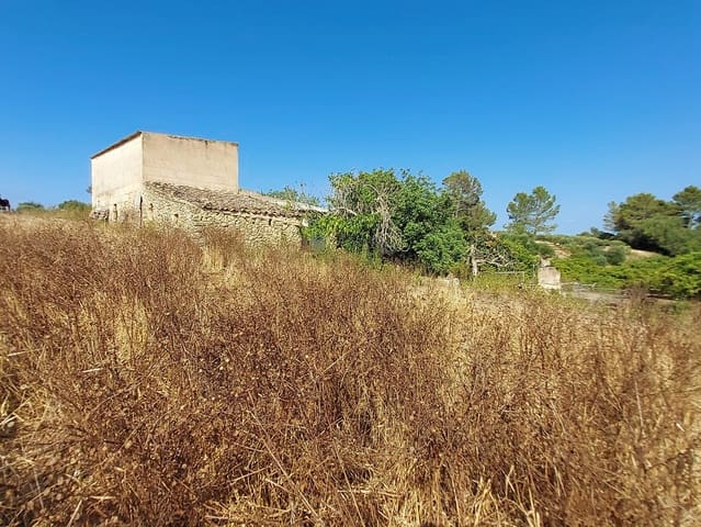 Mark till salu i María de la Salud / María de la Salut - 240 000 € (Ref: 9215518)