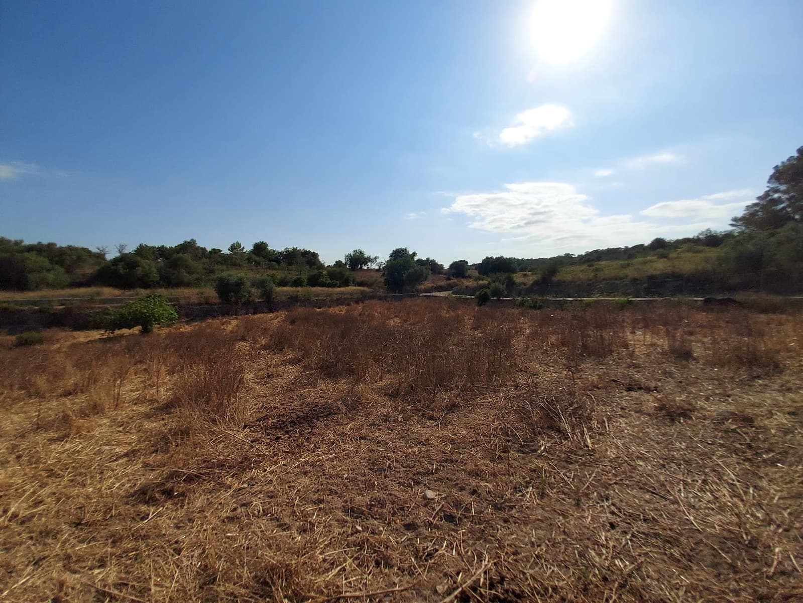 Mark till salu i Maria de la Salud / Maria de la Salut - 240 000 € (Ref: 9215518)