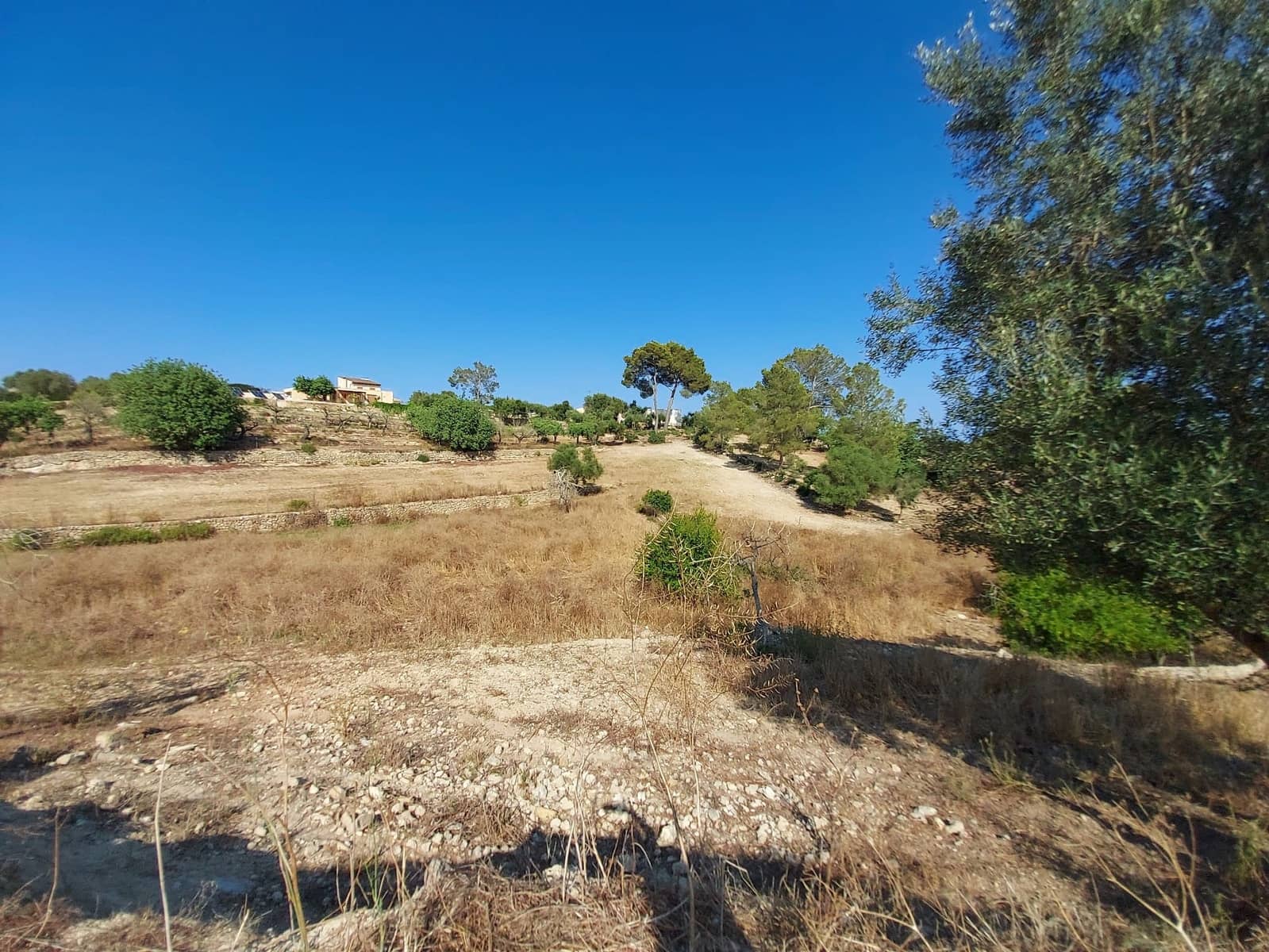 Mark till salu i Maria de la Salud / Maria de la Salut - 240 000 € (Ref: 9215518)