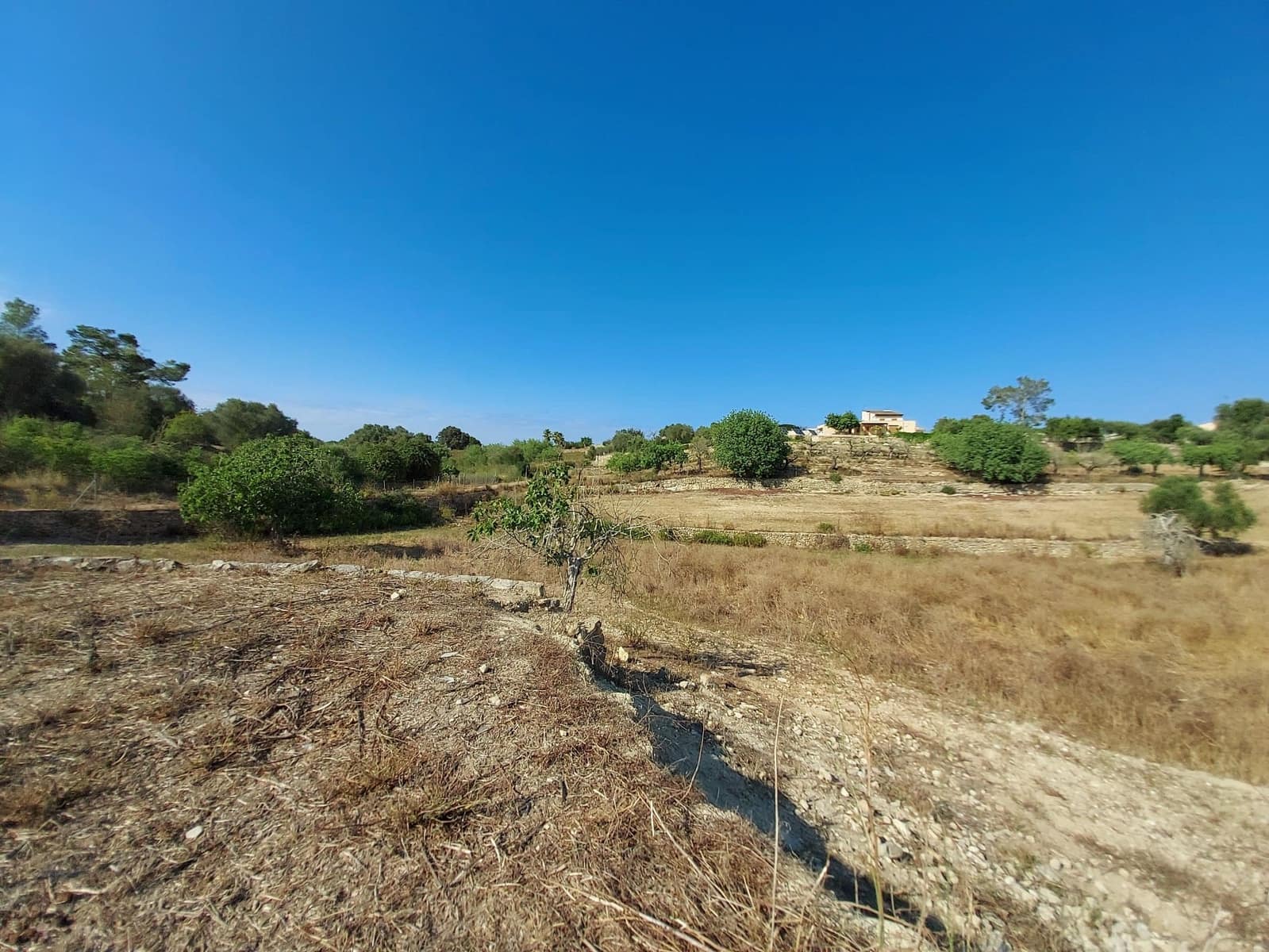 Mark till salu i Maria de la Salud / Maria de la Salut - 240 000 € (Ref: 9215518)