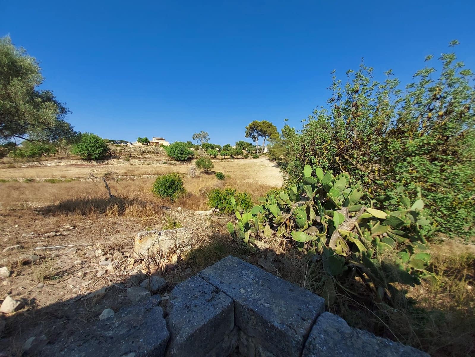 Mark till salu i Maria de la Salud / Maria de la Salut - 240 000 € (Ref: 9215518)