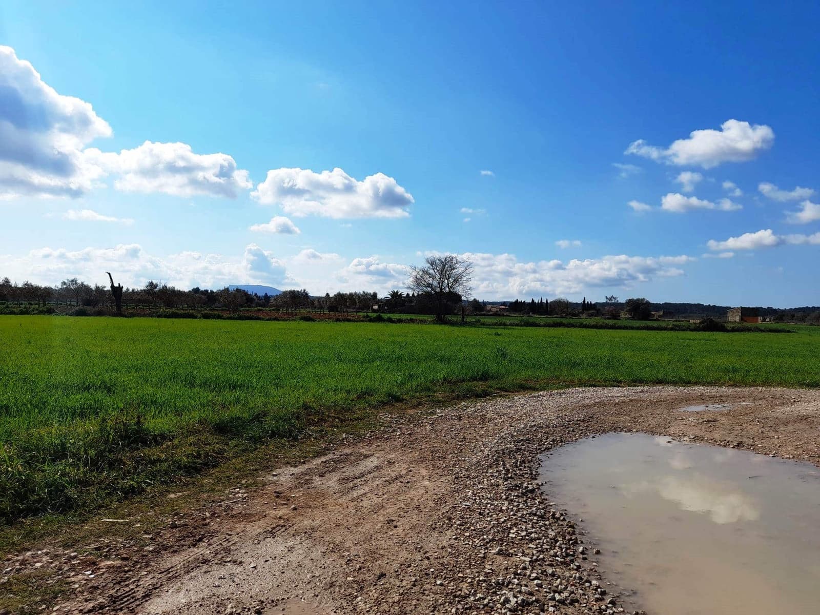5 chambre Finca/Maison de Campagne à vendre à Costitx avec garage - 700 000 € (Ref: 9215519)