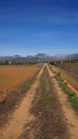 Ubebygd land til salgs i Binissalem - € 289 000 (Ref: 9239434)