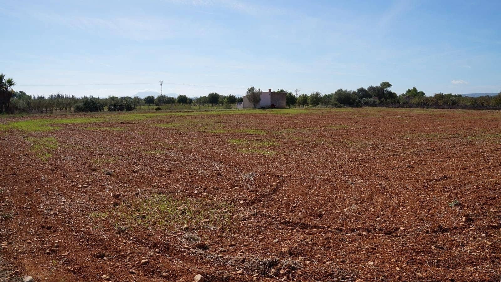 Grunde uden byggetilladelser til salg i Binissalem - € 289.000 (Ref: 9239434)