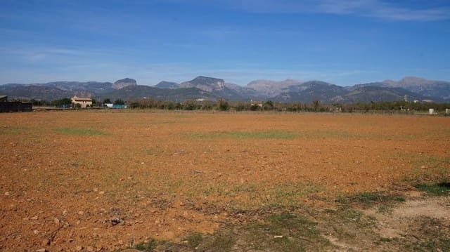 Ubebygd land til salgs i Binissalem - € 289 000 (Ref: 9239434)