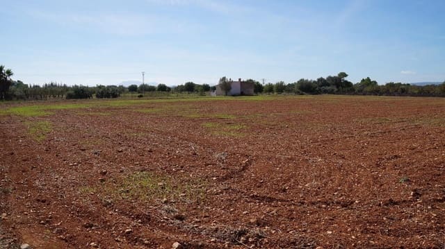 Ubebygd land til salgs i Binissalem - € 289 000 (Ref: 9239434)