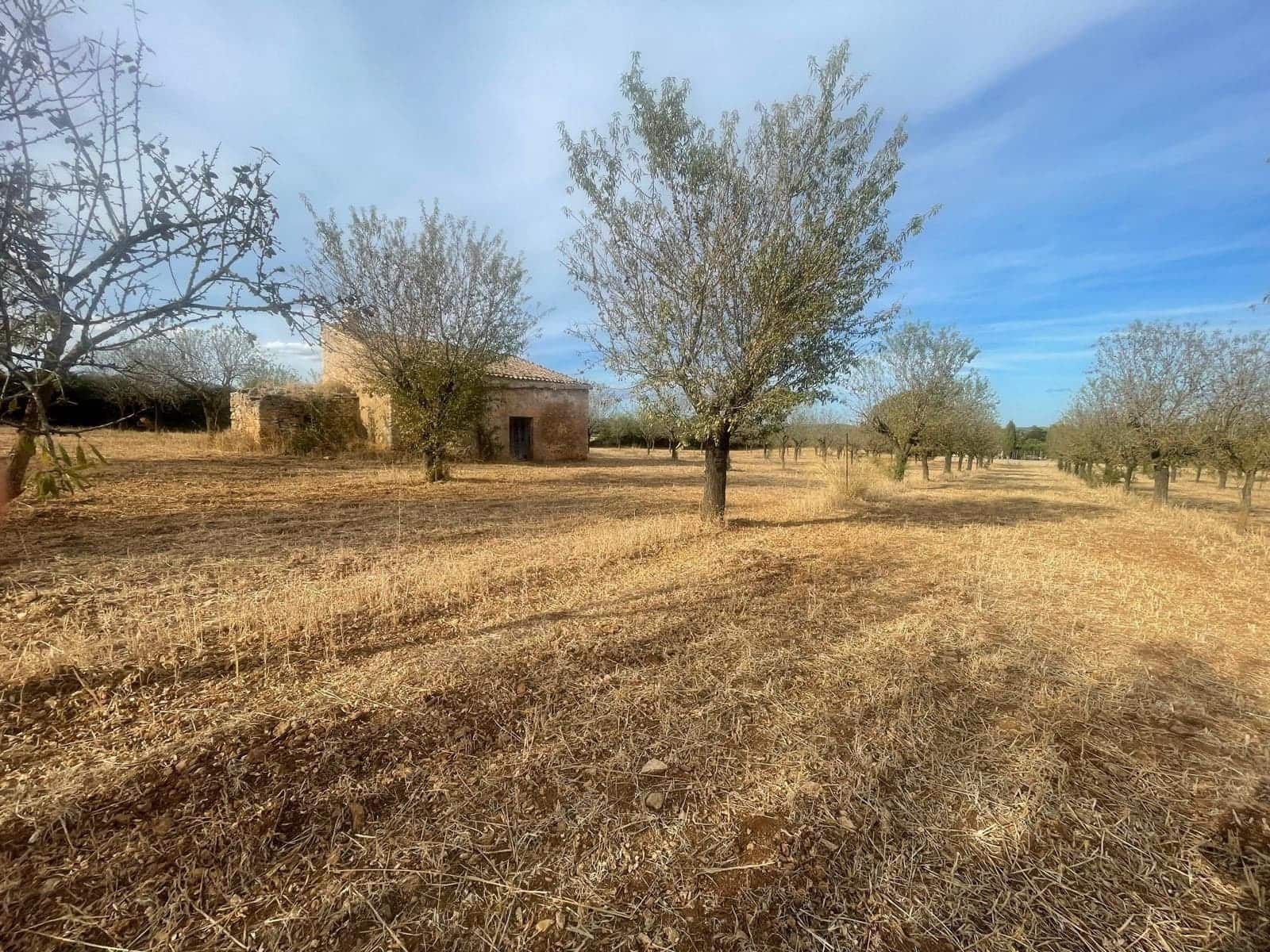 Grond te koop in Sencelles - € 189.000 (Ref: 9239435)