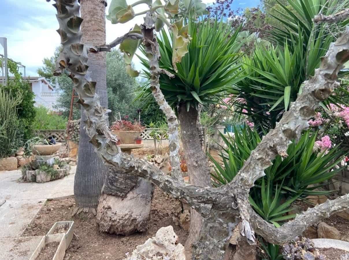 4 camera da letto Villa in vendita in Santa Margalida con garage - 565.000 € (Rif: 9258121)