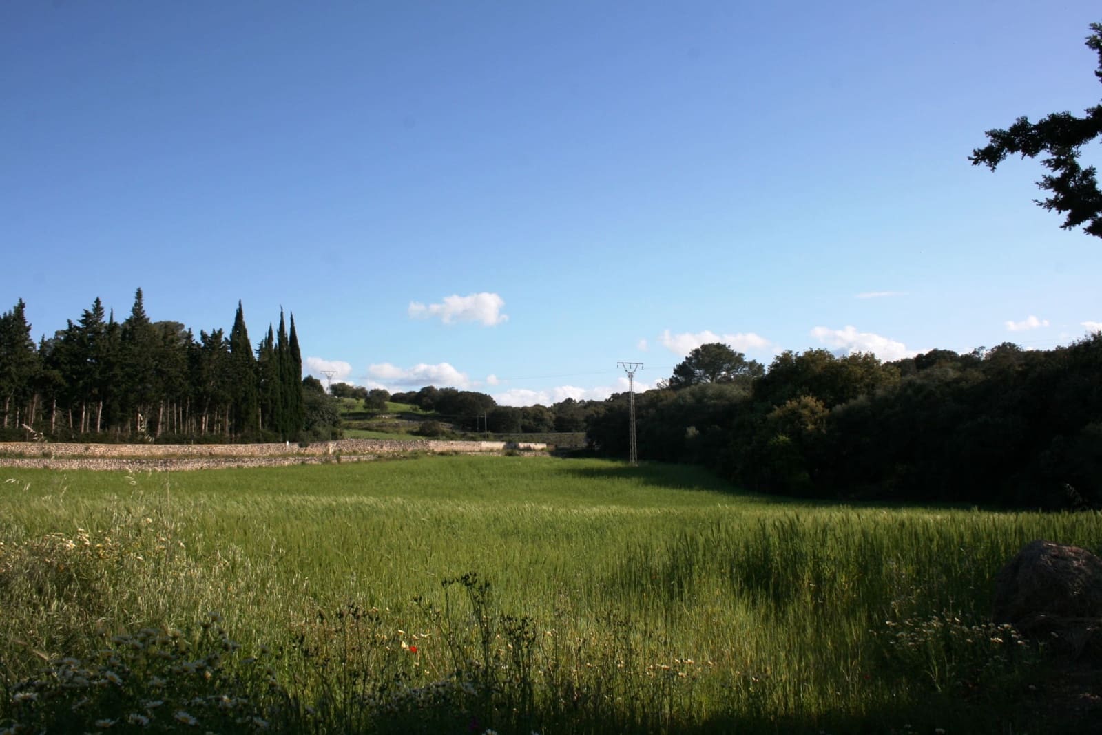 3 sovrum Finca/Hus på landet till salu i Llubi med pool - 625 000 € (Ref: 9263393)