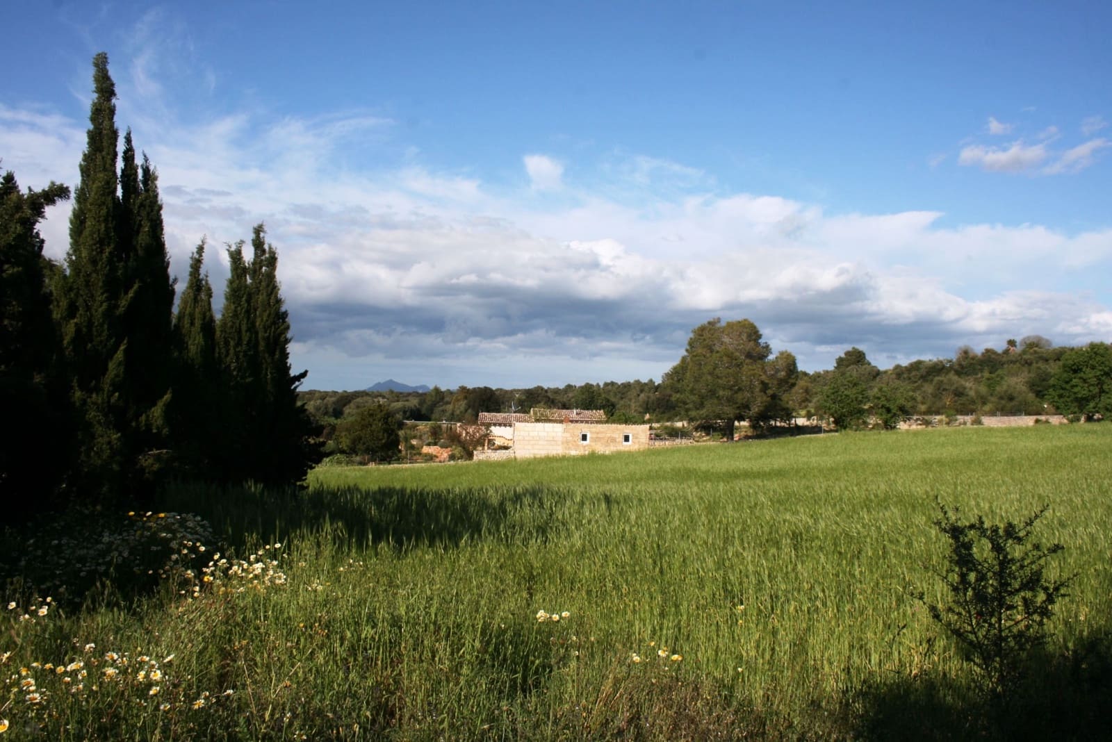 3 sovrum Finca/Hus på landet till salu i Llubi med pool - 625 000 € (Ref: 9263393)