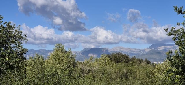 Ubebygd land til salgs i Costitx - € 330 000 (Ref: 9425367)