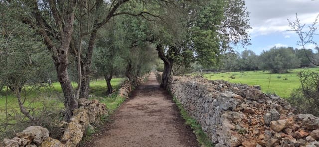 Ubebygd land til salgs i Costitx - € 330 000 (Ref: 9425367)