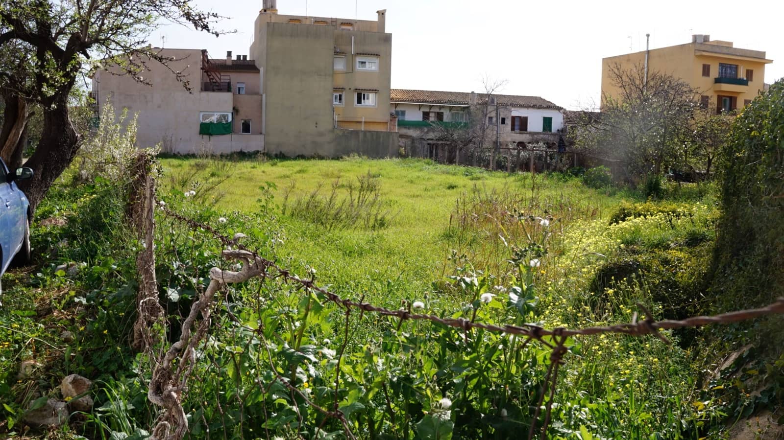 Undeveloped Land for sale in Lloseta - € 490,000 (Ref: 9495559)