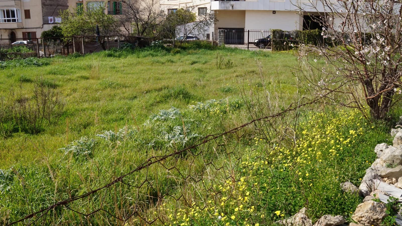 Undeveloped Land for sale in Lloseta - € 490,000 (Ref: 9495559)