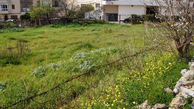 Terreno/Finca Rústica en Lloseta en venta - 490.000 € (Ref: 9495559)