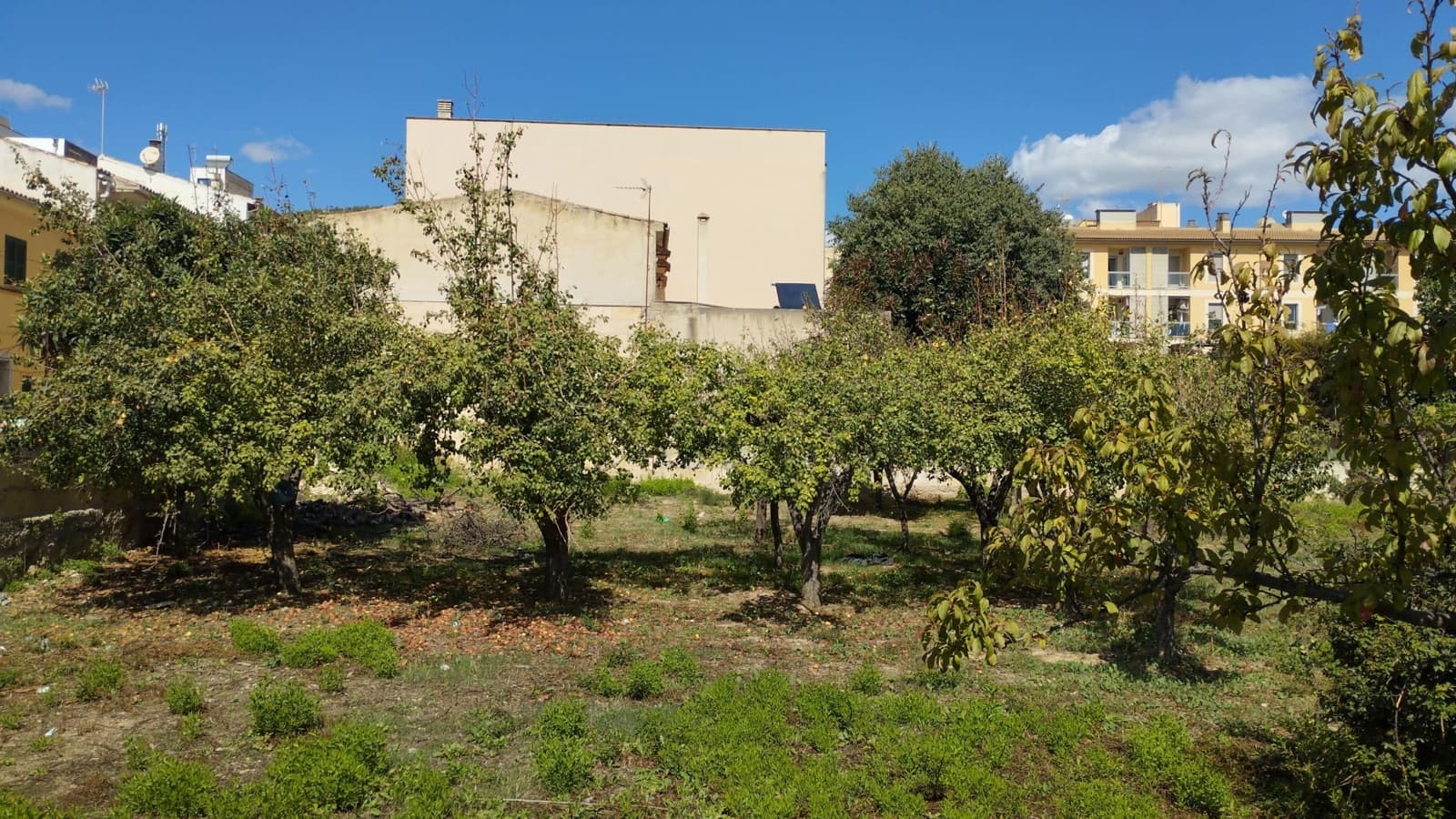 Grond te koop in Lloseta - € 1.045.000 (Ref: 9506602)