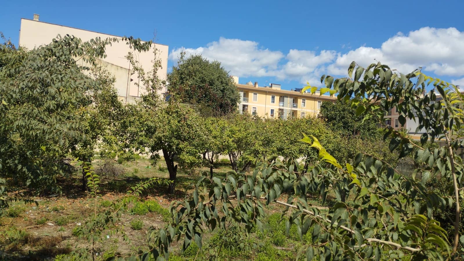 Grond te koop in Lloseta - € 1.045.000 (Ref: 9506602)