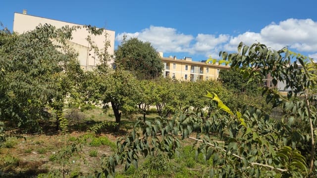 Grond te koop in Lloseta - € 1.045.000 (Ref: 9506602)