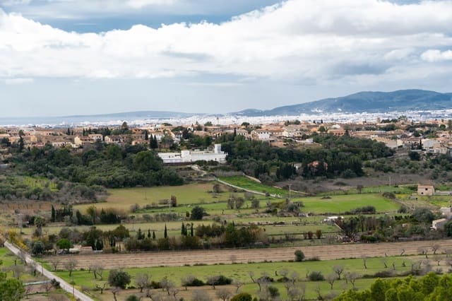 Mark till salu i Marratxí - 850 000 € (Ref: 9600022)