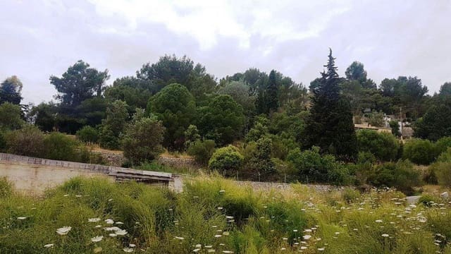 Undeveloped Land for sale in Galilea, Puigpunyent - € 215,000 (Ref: 9603463)