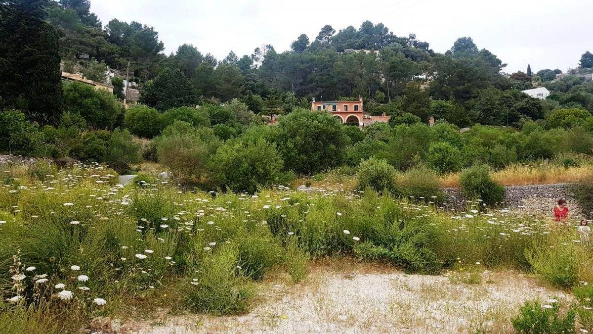 Undeveloped Land for sale in Puigpunyent - € 215,000 (Ref: 9603463)
