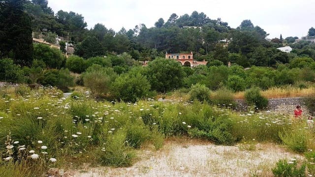Undeveloped Land for sale in Galilea, Puigpunyent - € 215,000 (Ref: 9603463)